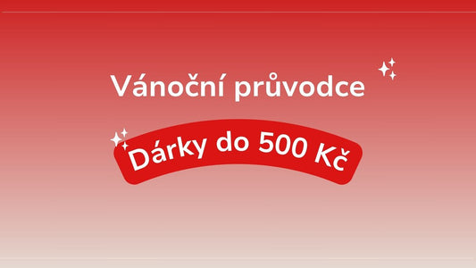 Vánoční průvodce - Dárky pro děti do 500 Kč