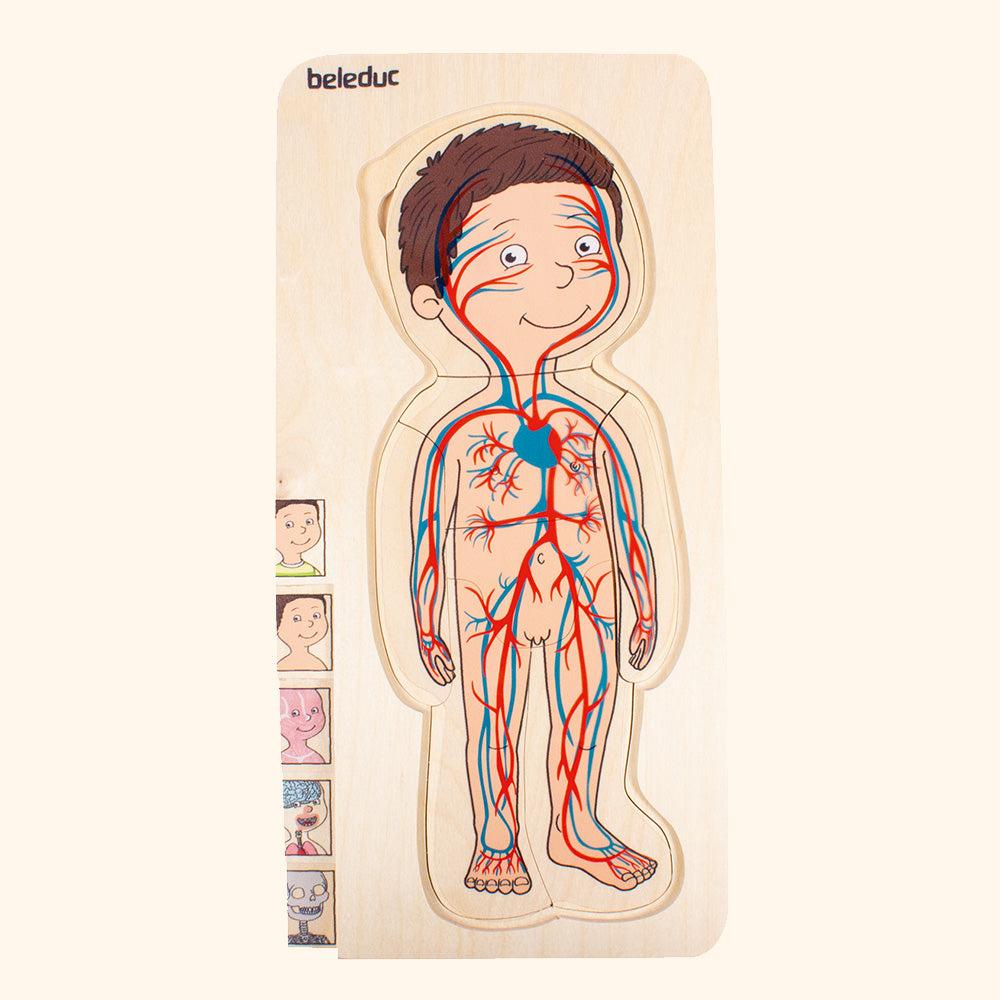 Body Puzzle - Boy