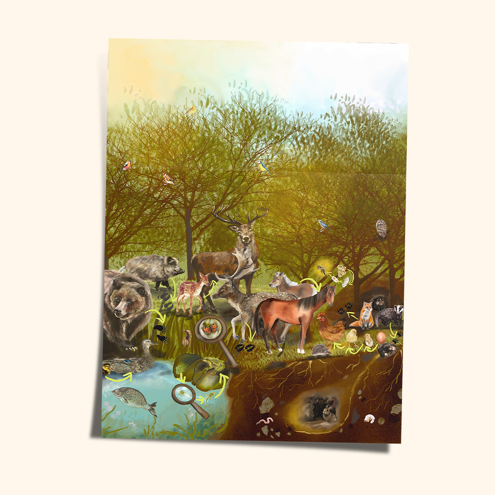 Magnetická stavebnice COLORMAG CLEAR