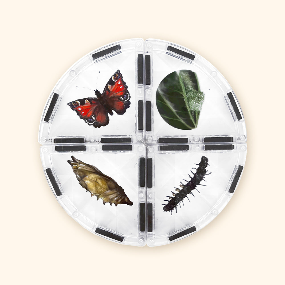 Magnetická stavebnice COLORMAG CLEAR