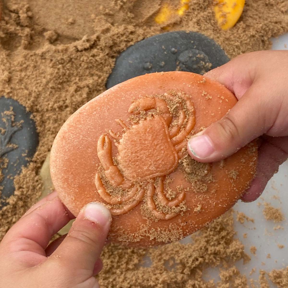 Stopy mořští živočichové