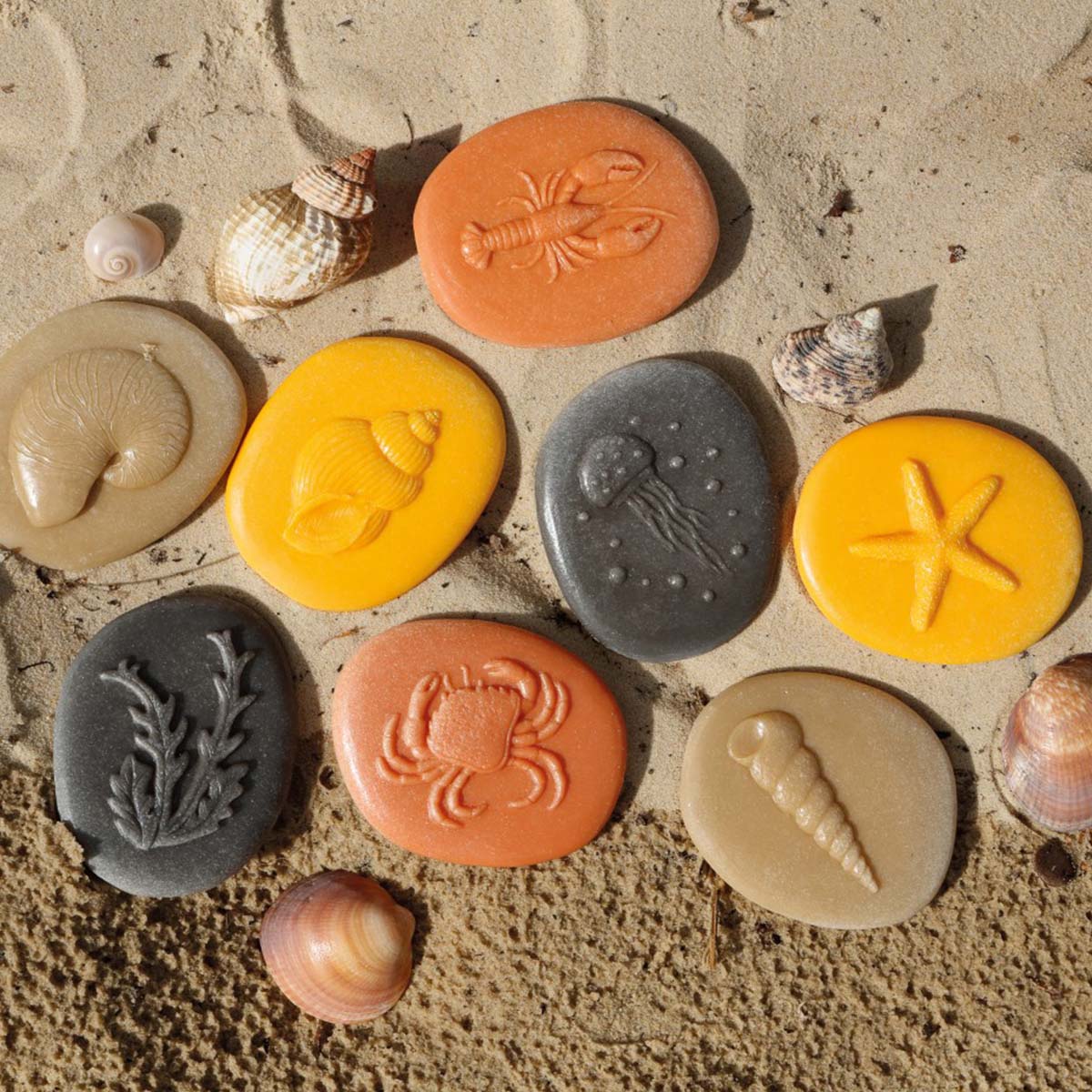 Stopy mořští živočichové