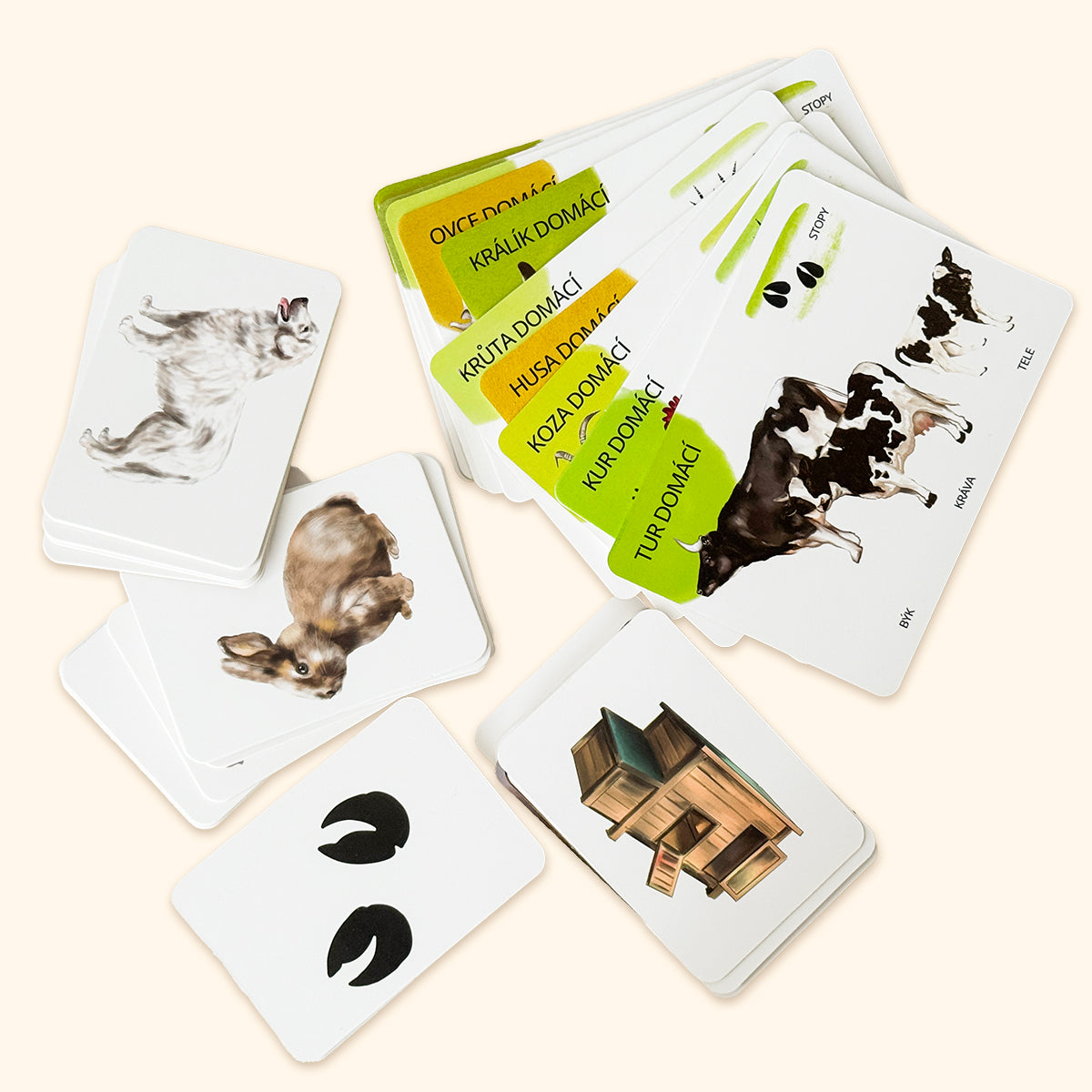 Sada edukačních karet domácí zvířata CZ