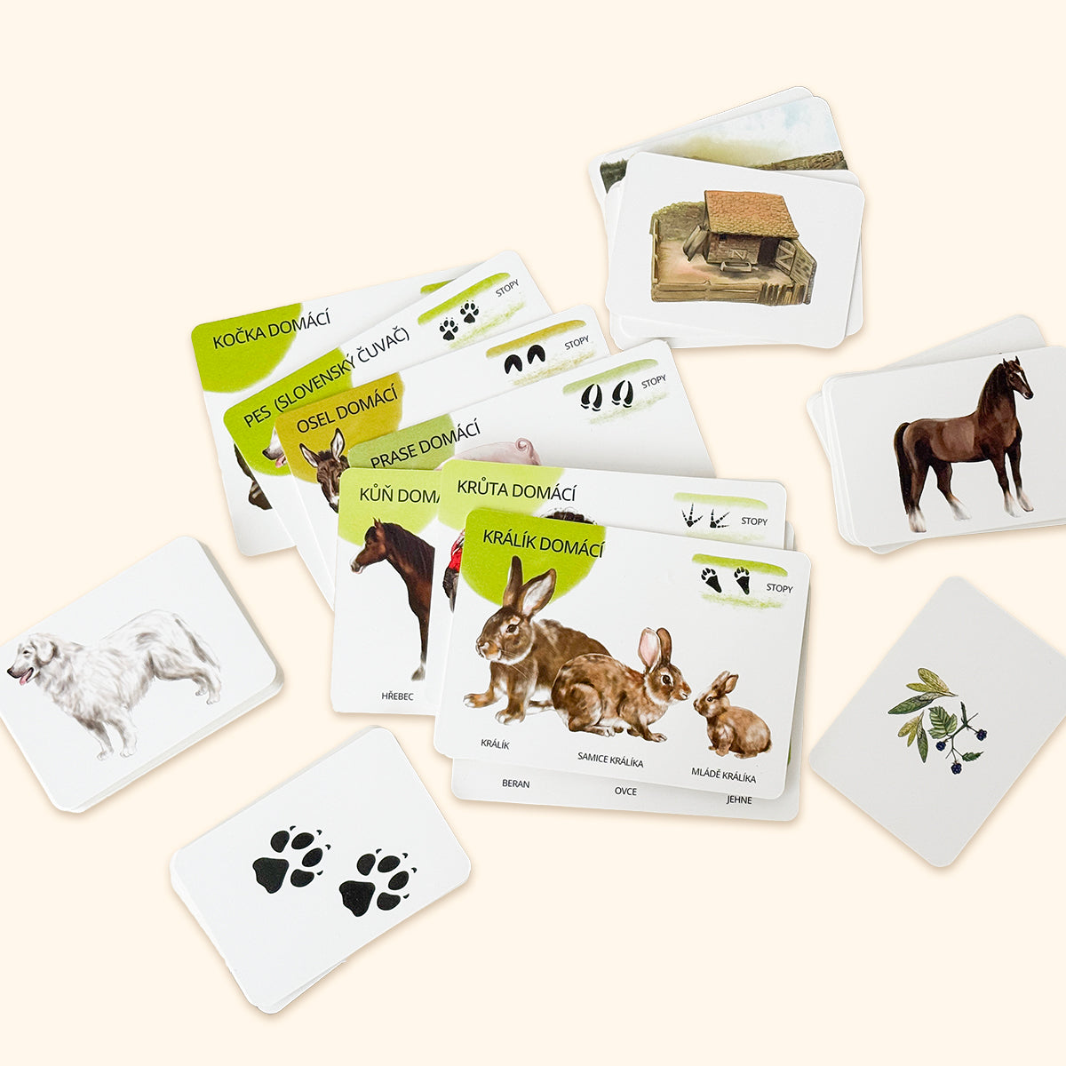 Sada edukačních karet domácí zvířata CZ