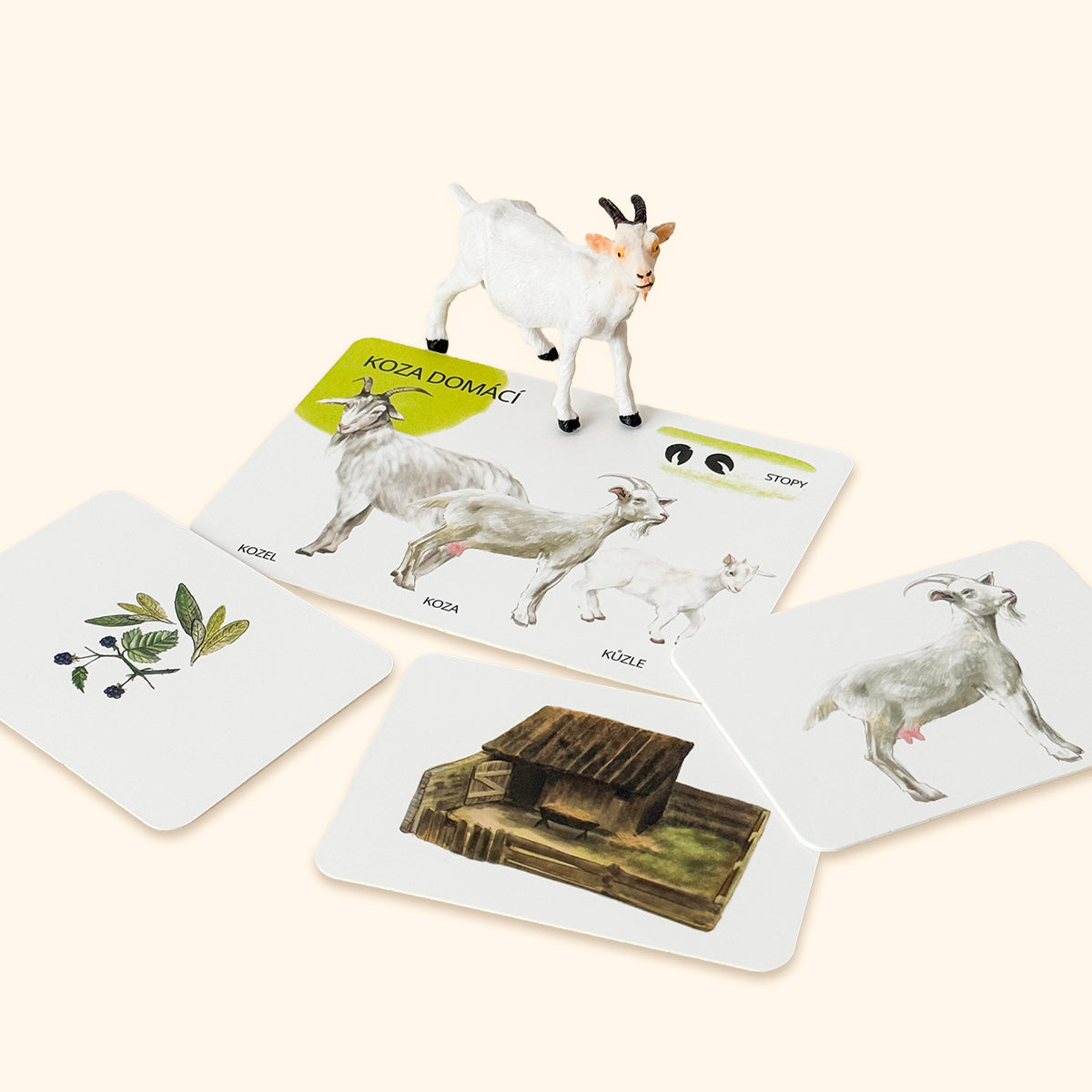 Sada edukačních karet domácí zvířata CZ