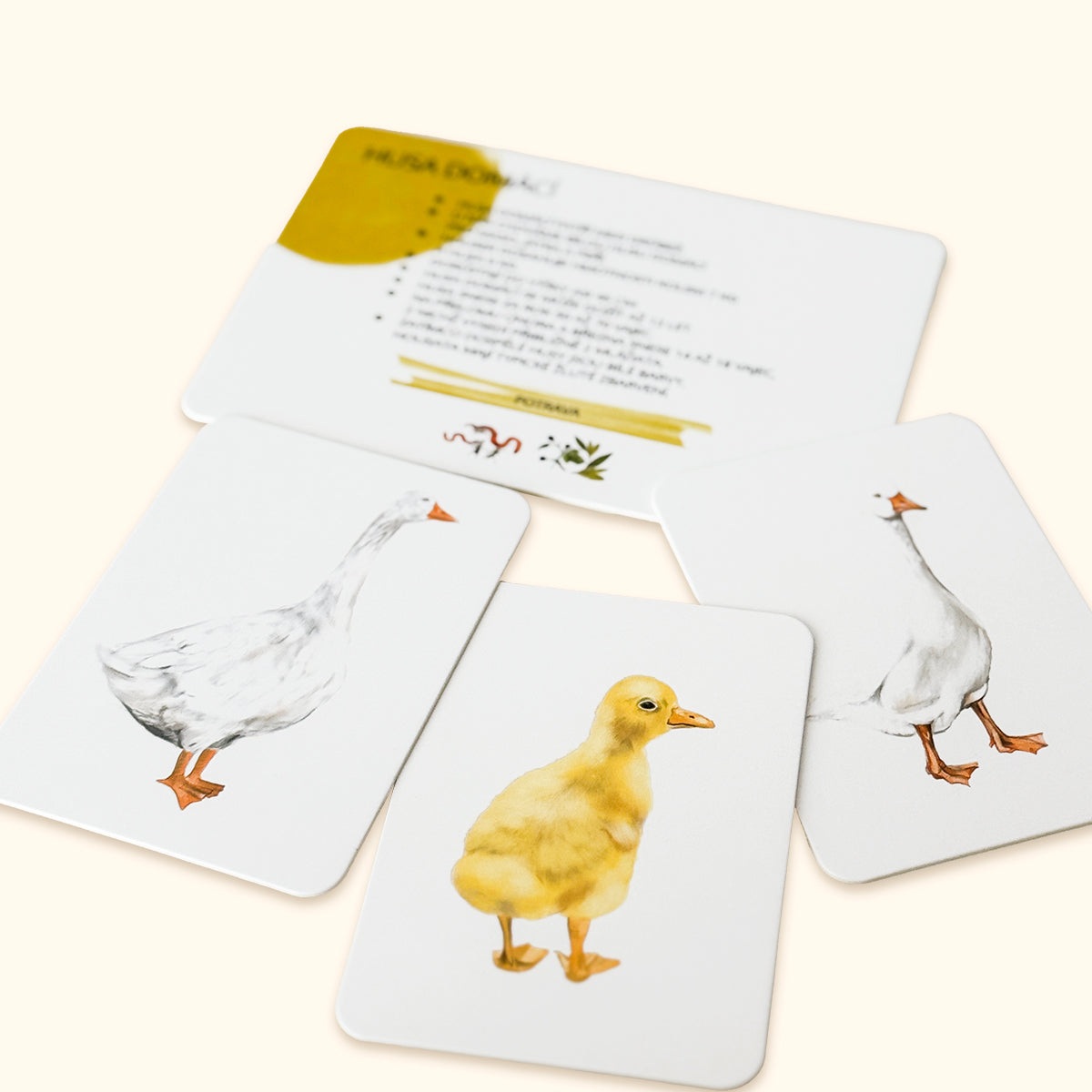 Sada edukačních karet domácí zvířata CZ