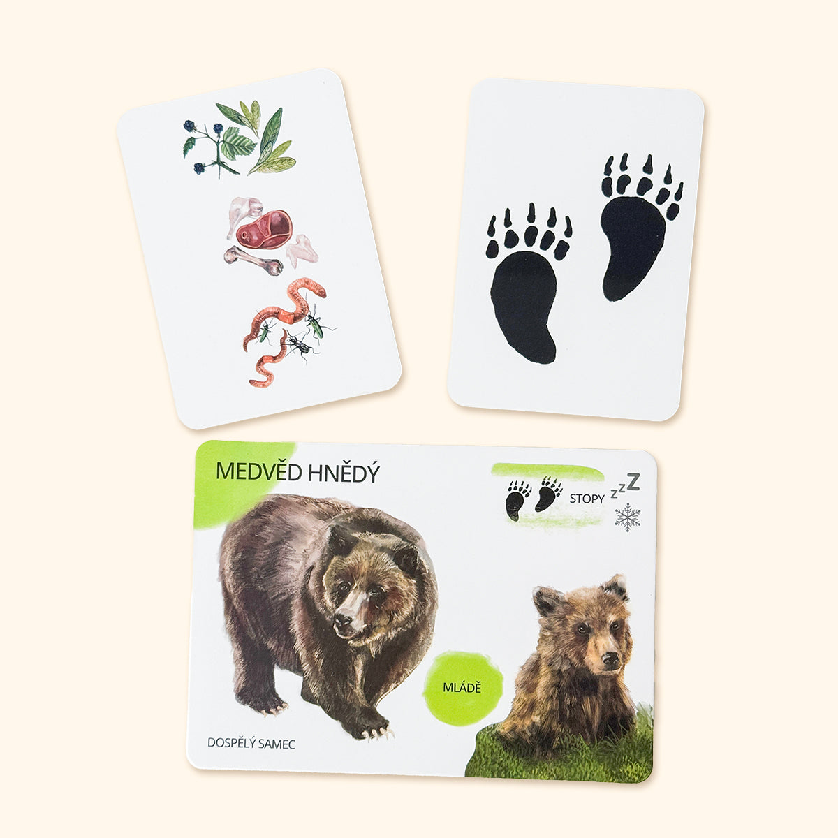 Sada edukačních karet lesní zvířata CZ