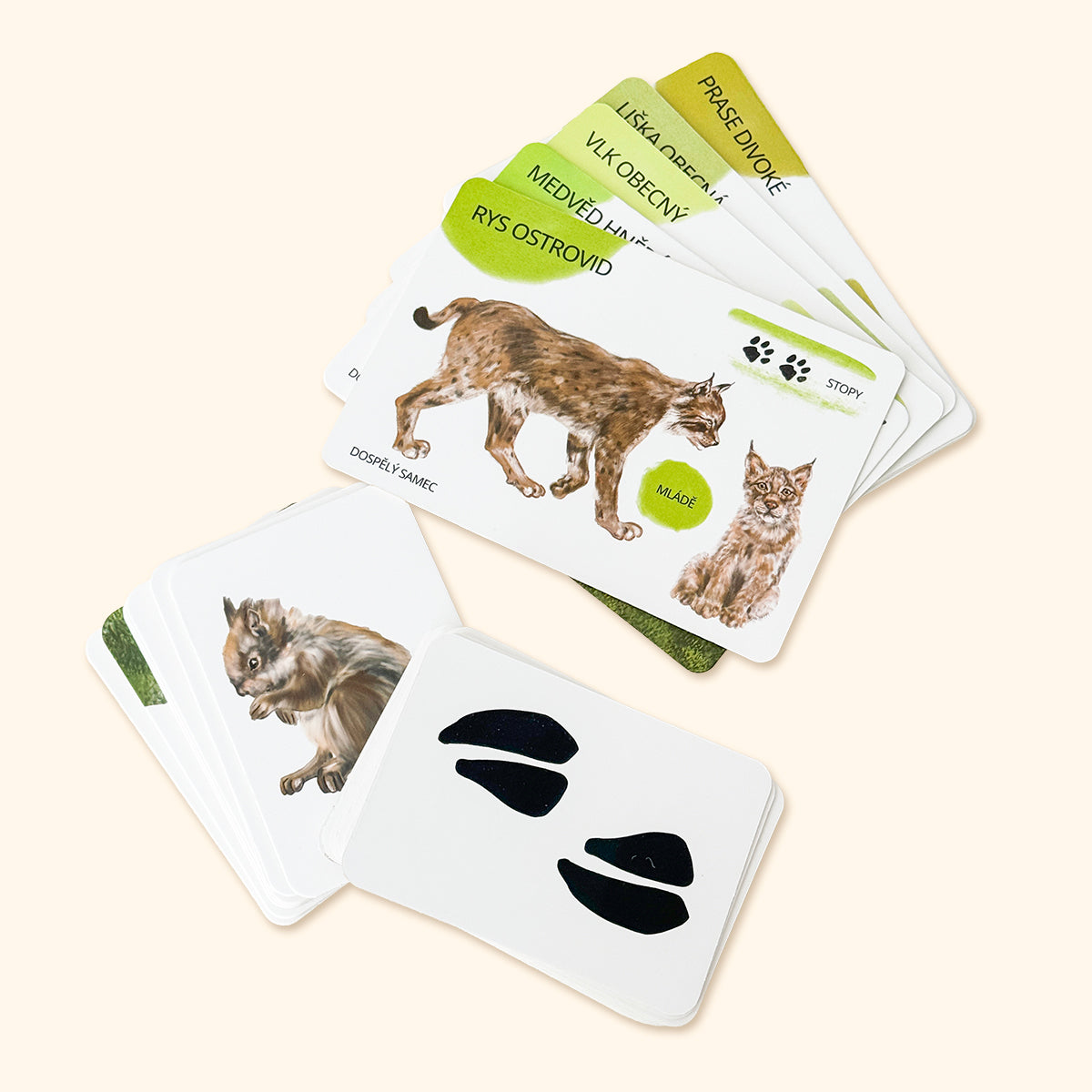 Sada edukačních karet lesní zvířata CZ