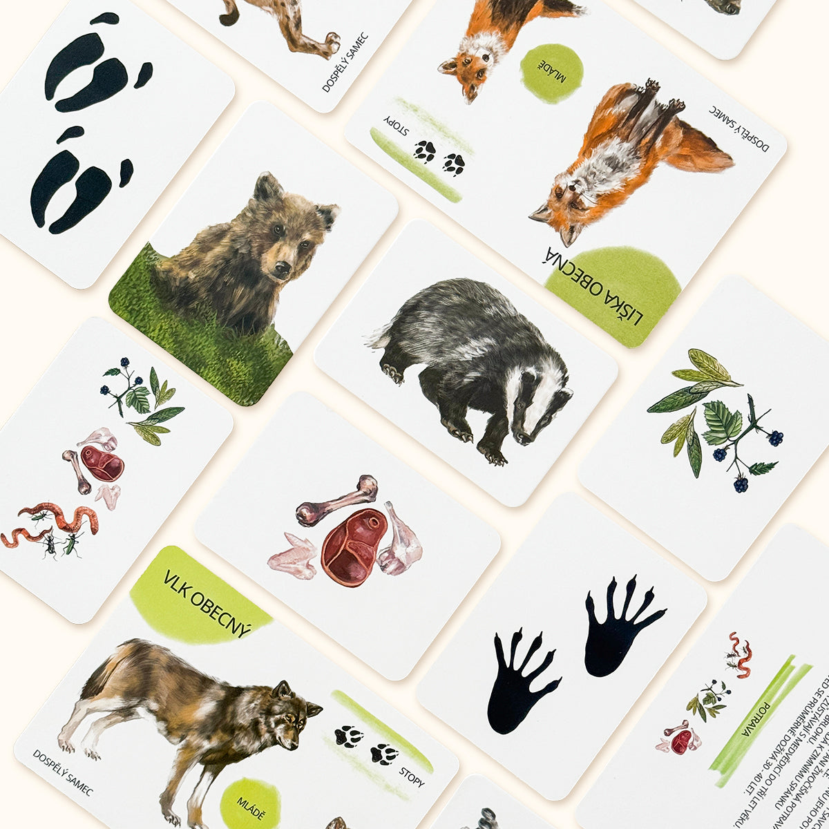 Sada edukačních karet lesní zvířata CZ