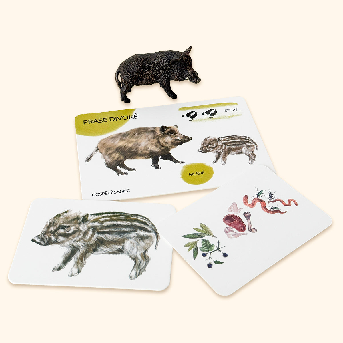Sada edukačních karet lesní zvířata CZ
