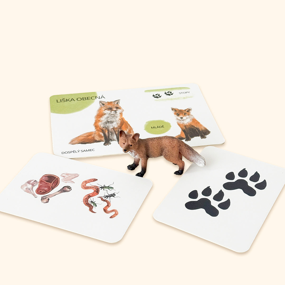 Sada edukačních karet lesní zvířata CZ