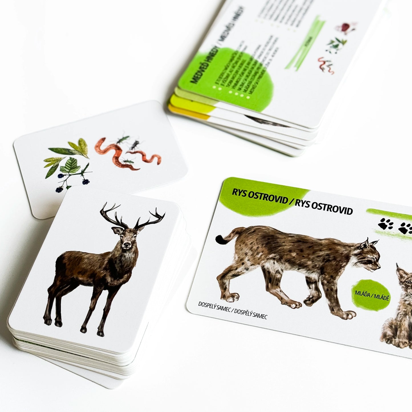 Balíček Lesní zvířatká -50%