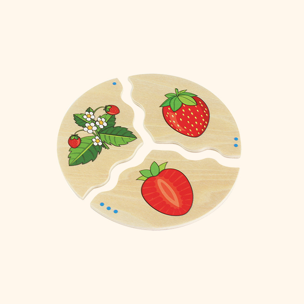 Nawito fruits