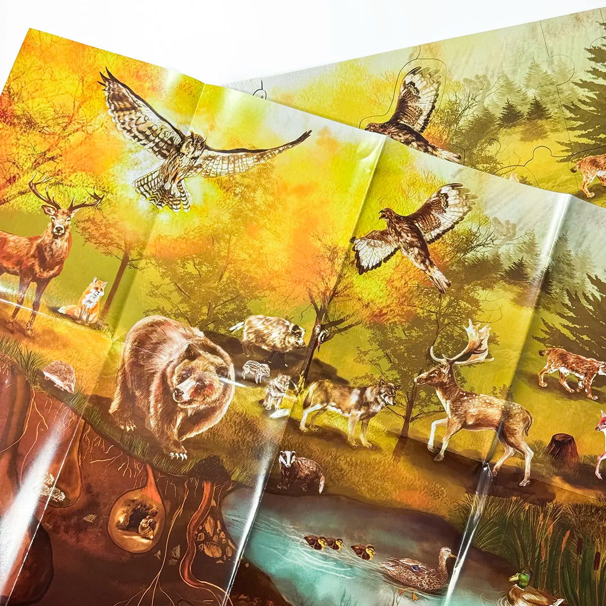 Podlahové puzzle - Les