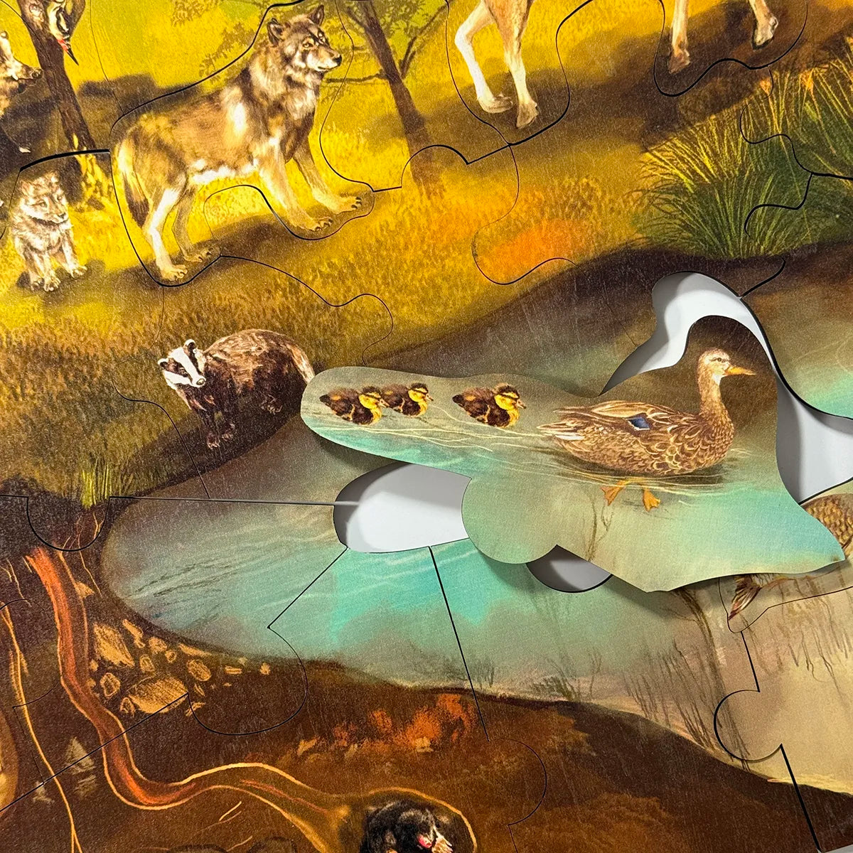 Podlahové puzzle - Les