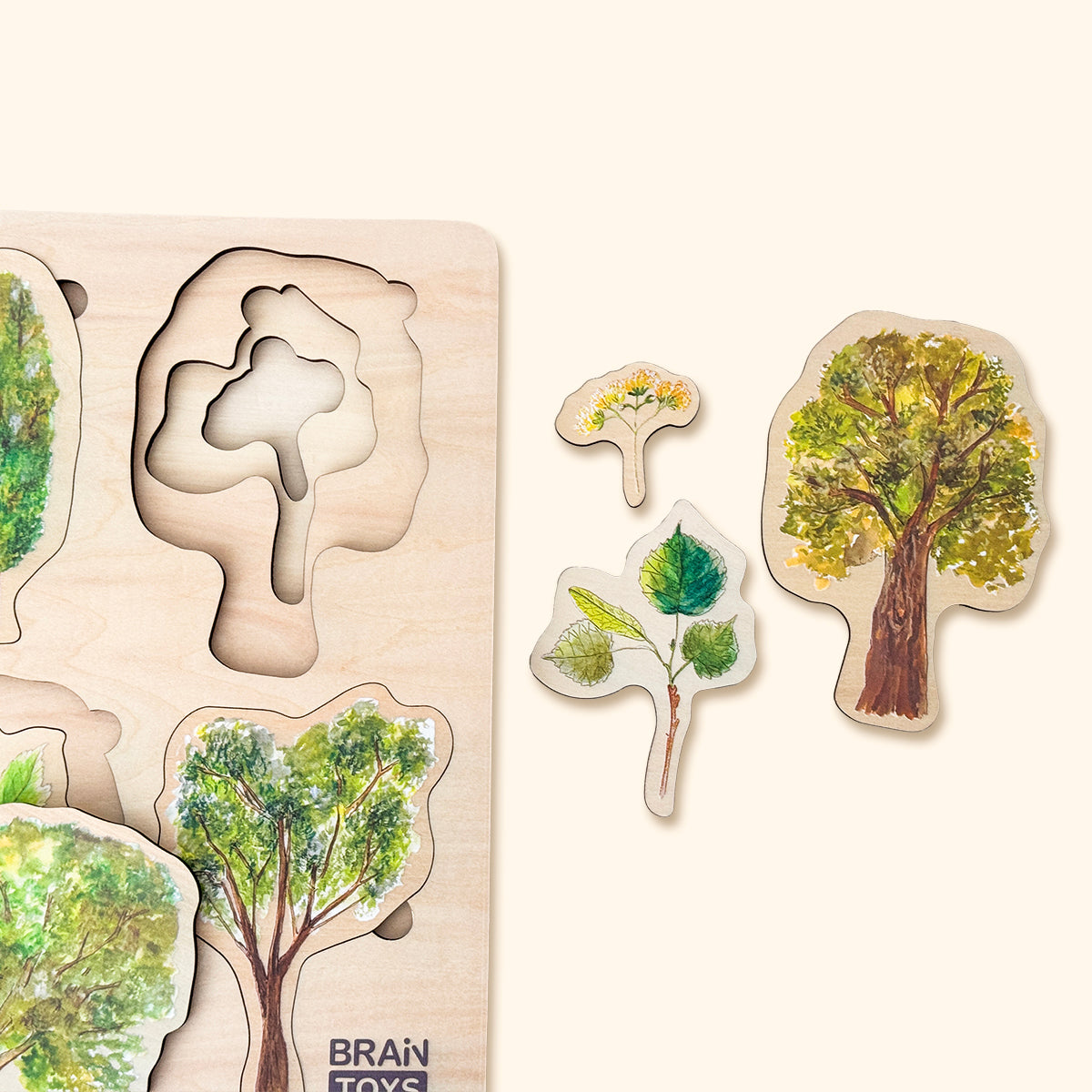 Dřevěné puzzle - Stromy