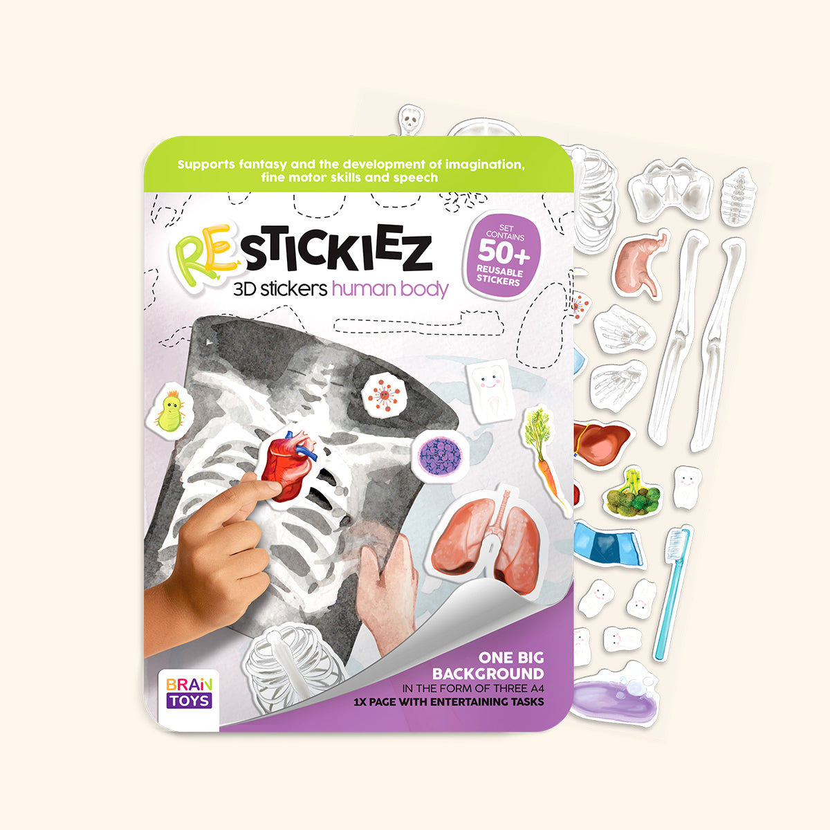 3D REstickiez - Lidské tělo