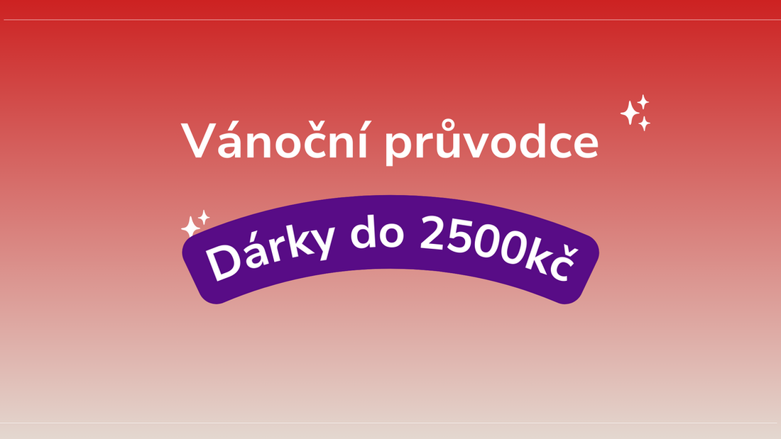 Vánoční průvodce - Dárky pro děti do 2500 Kč