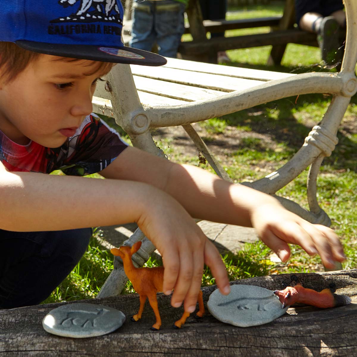 Stopy lesní zvířátka