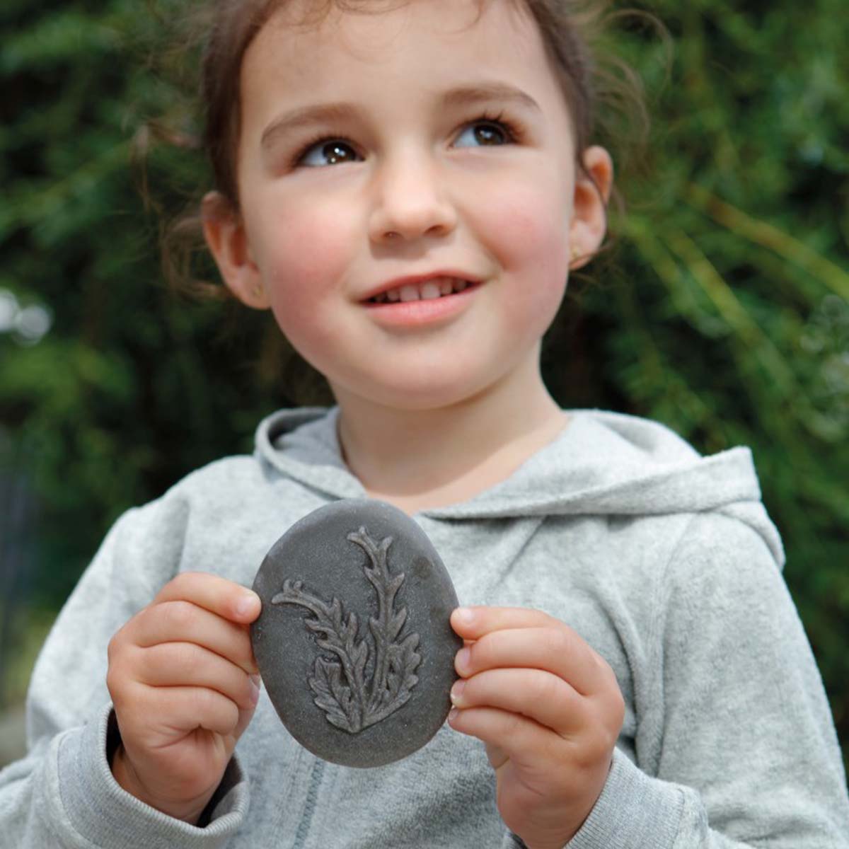 Stopy mořští živočichové