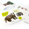 Sada edukačních karet lesních zvířat