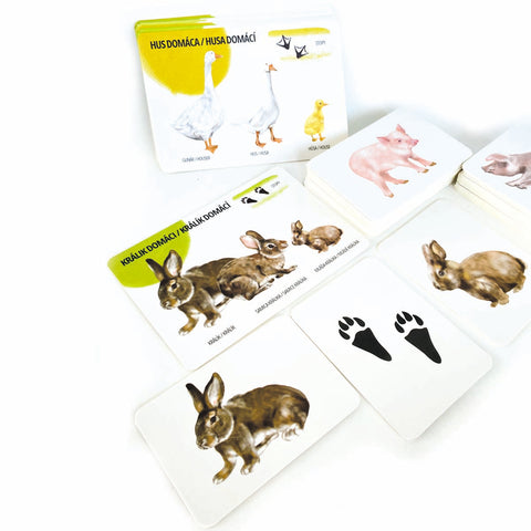 Sada edukačních karet domácí zvířata
