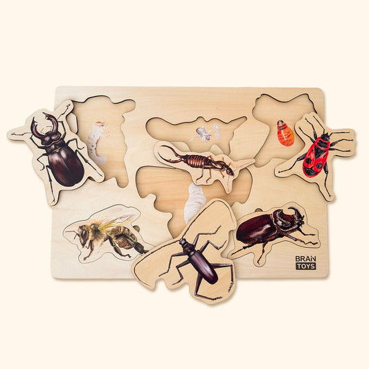 Dřevěné puzzle - Hmyz