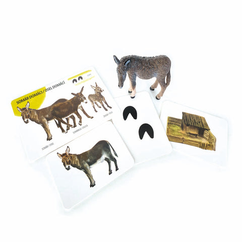 Set figurek domácích zvířat a edukačních karet