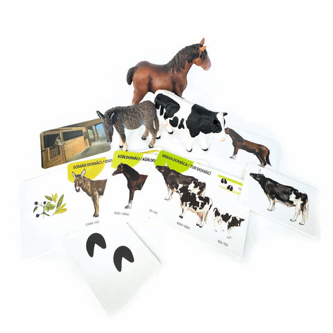 Set figurek domácích zvířat a edukačních karet